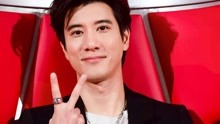 娛樂圈最新動態(tài)與探索自然美景的雙重探索，尋找內(nèi)心的平和之地