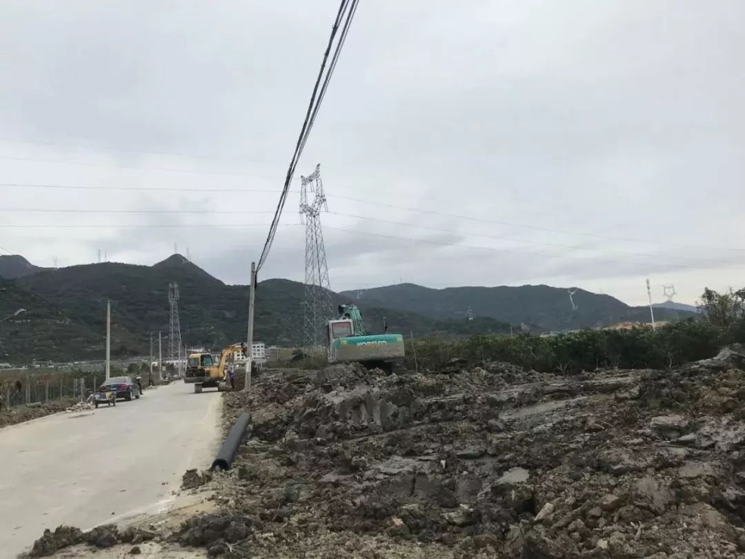 路橋區(qū)副區(qū)長任命動態(tài)揭秘，探尋小巷深處的獨特風味