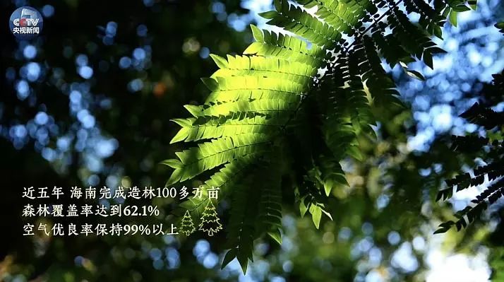 第20頁